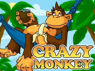 Crazy Monkey screenshot